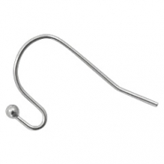 Fornituras Acero Inox pendientes de gancho Plateado vieja