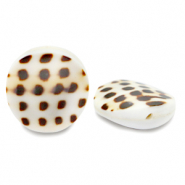 Abalorios conchas 20mm Blanco marrón