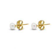 Pendientes Acero Inox perlas 5mm Dorado-blanco perla