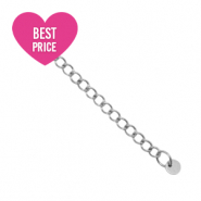 Fornituras Acero inox extención de cadena moneda 4mm Plateado