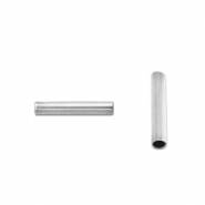 Abalorios Acero Inox tubo 5mm Plateado