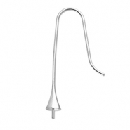 Fornituras Acero Inox pendientes de gancho con terminal Plateado