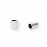 Fornituras acero inox terminal &Oslash;2.5mm Plateado