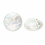Perlas de agua dulce imperfectas moneda Blanco nacar