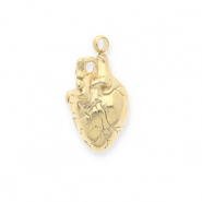 Colgantes Acero Inox con diseño anatómico de corazón Dorado