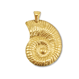 Colgantes Acero Inox conchas Dorado