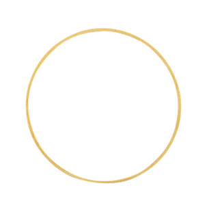 Fornituras met&aacute;licas DQ anillo cerrado 25mm Dorado (sin n&iacute;quel)