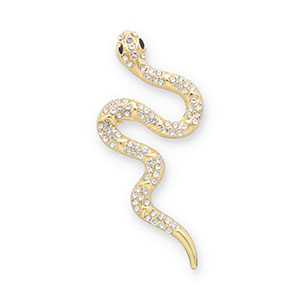 Broches serpiente Dorado-transparente-negro