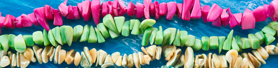 Abalorios de concha naturales y cordón elástico Abalorios de concha naturales y cordón elástico
